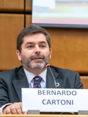 Bernardo Cartoni