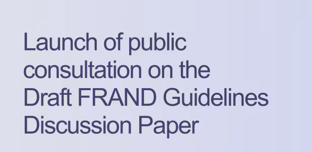 frand-public-consultation