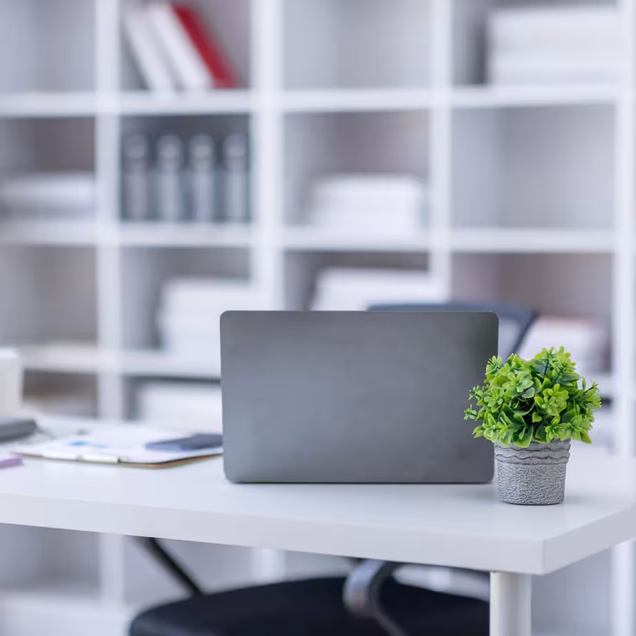 Modern workspace with a laptop, notepad, and potted plant on a white desk.